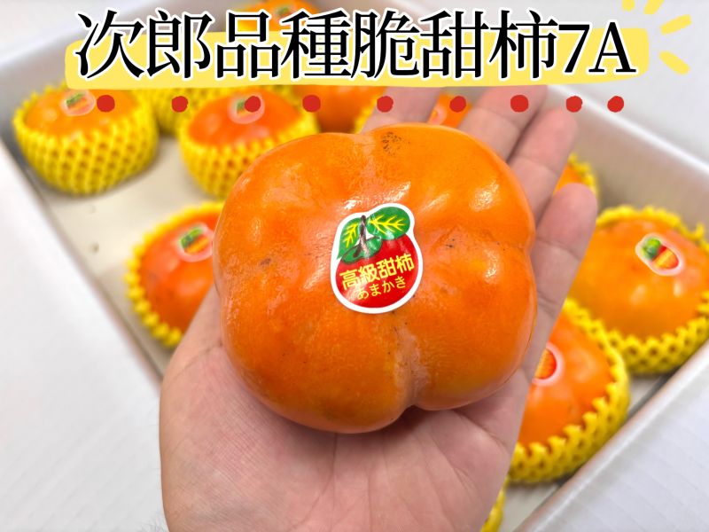 摩天嶺脆甜柿！清甜脆口感 吃硬吃軟都可以 