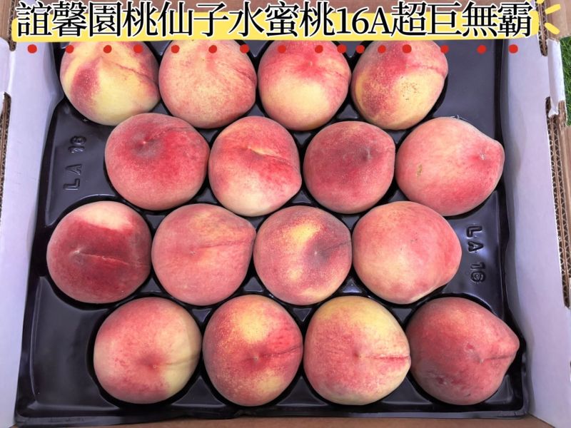 美國空運誼馨園桃仙子水蜜桃 糖公主品種 品質穩定 吃軟吃硬都可以 16A大果 