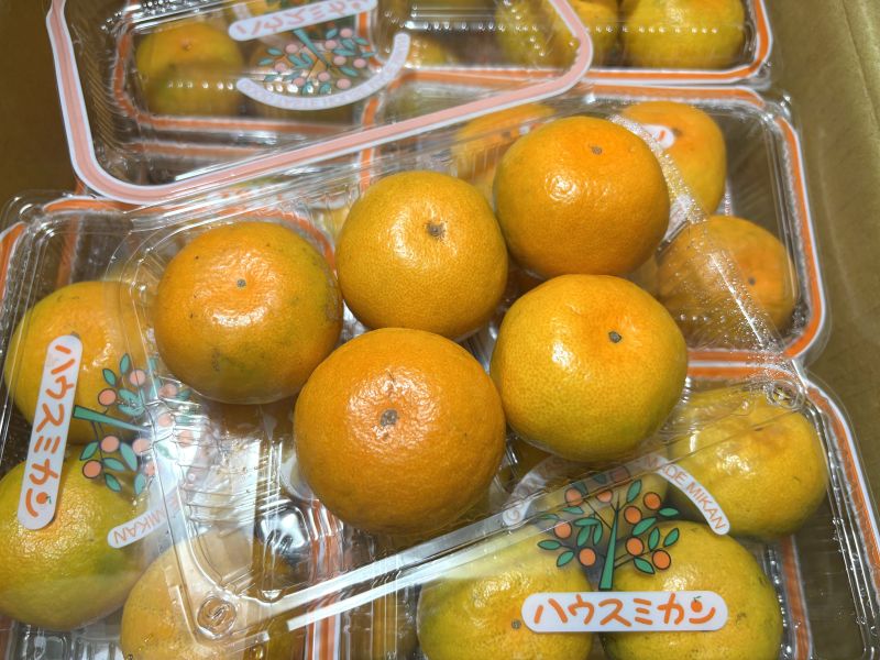 日本佐賀唐津蜜柑PE盒 肉質細緻甜度高！無纖維好吃 