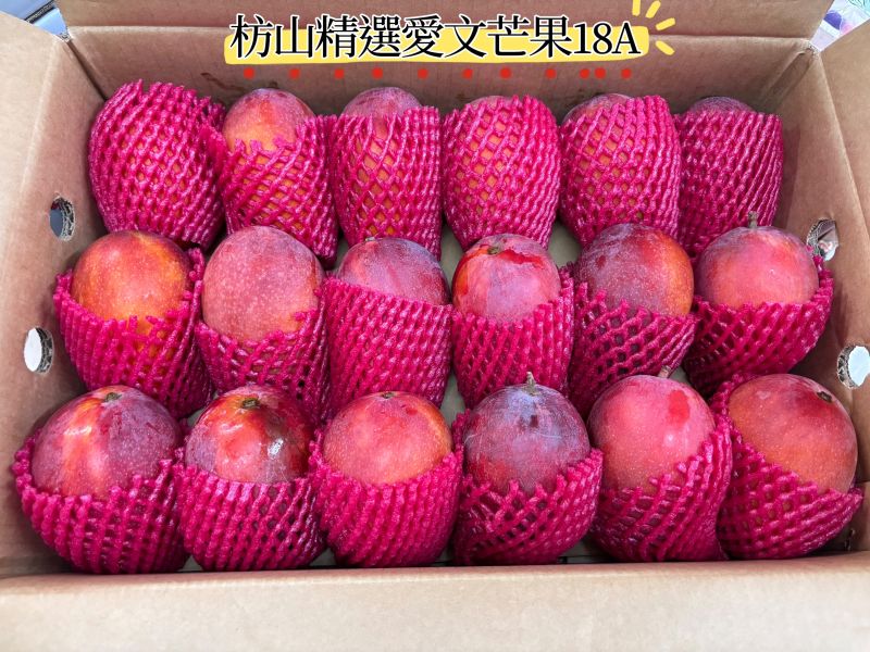 屏東枋山精選愛文芒果 18A中果 常溫放到表皮出油再食用！ 