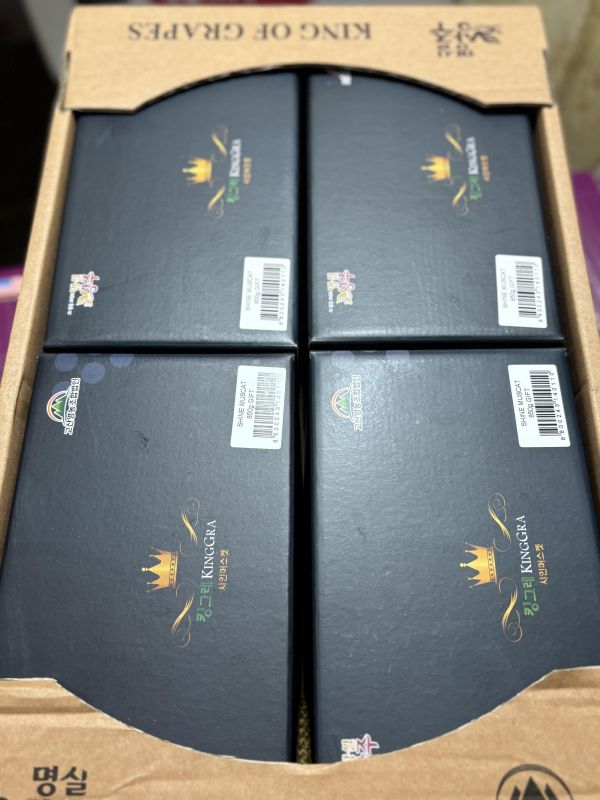 韓國麝香葡萄頂級款 精選禮盒包裝規格 果肉硬甜大顆很好吃！ 