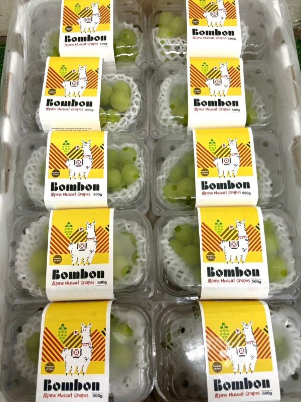 秘魯精選羊駝牌麝香葡萄 高甜度款 超高CP值 