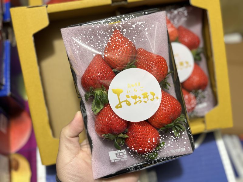 日本高知縣太妃美草莓 高甜度款香氣足 