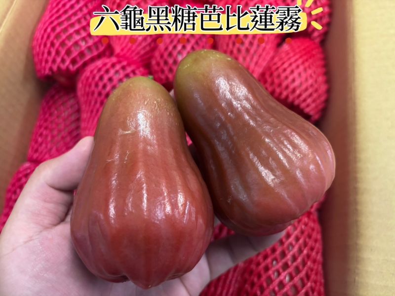 高雄六龜黑糖芭比蓮霧 脆甜好吃 水分飽滿 
