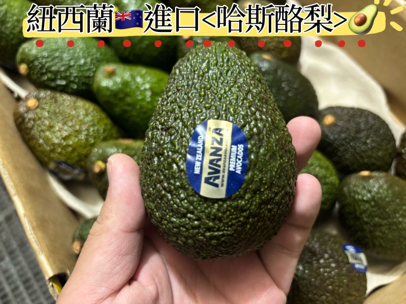 紐西蘭空運哈斯酪梨 奶香口感 綿柔滑順好吃 