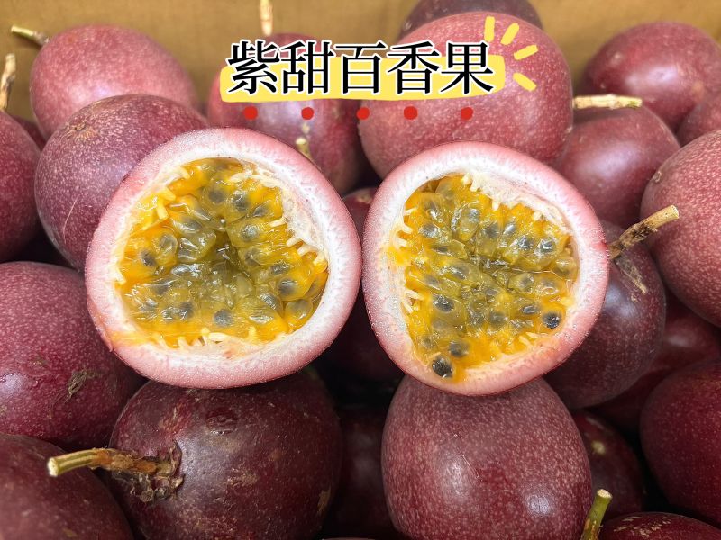 埔里溫室紫甜百香果 甜度很不錯酸氣低好吃 