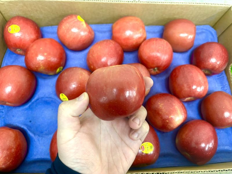 美國精選富士小蘋果 脆甜口感好吃 