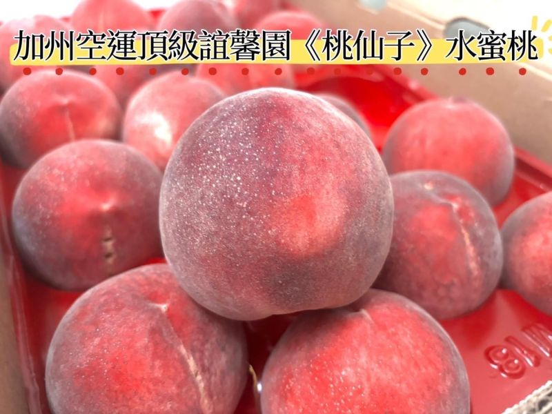 美國空運誼馨園桃仙子水蜜桃 早公主品種 品質穩定 吃軟吃硬都可以 中果規格 