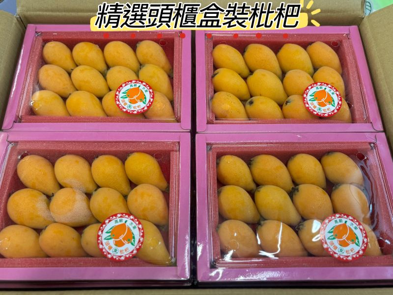 頭櫃精選盒裝枇杷 15入大果規格 甜好吃 