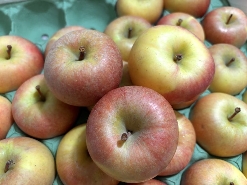 日本青森縣 超級限定款 特殊品種黃金糖蜜蘋果 果芯會結蜜 脆甜口感很好吃！ 