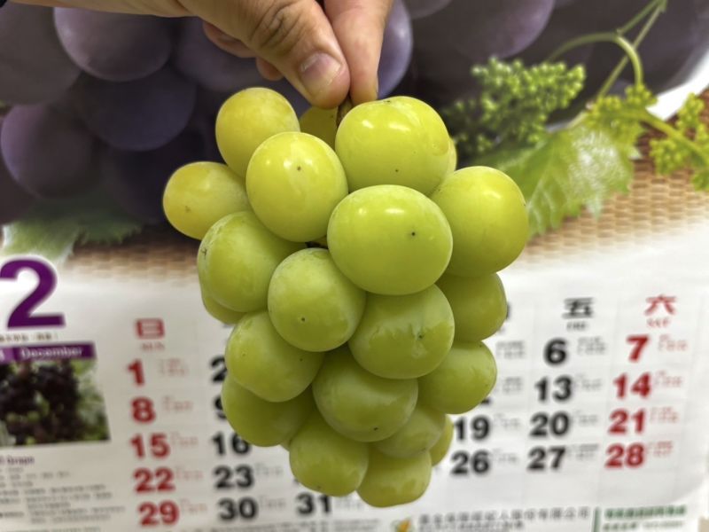 韓國陽光麝香葡萄 精選大果粒！清甜Q嫩口感 