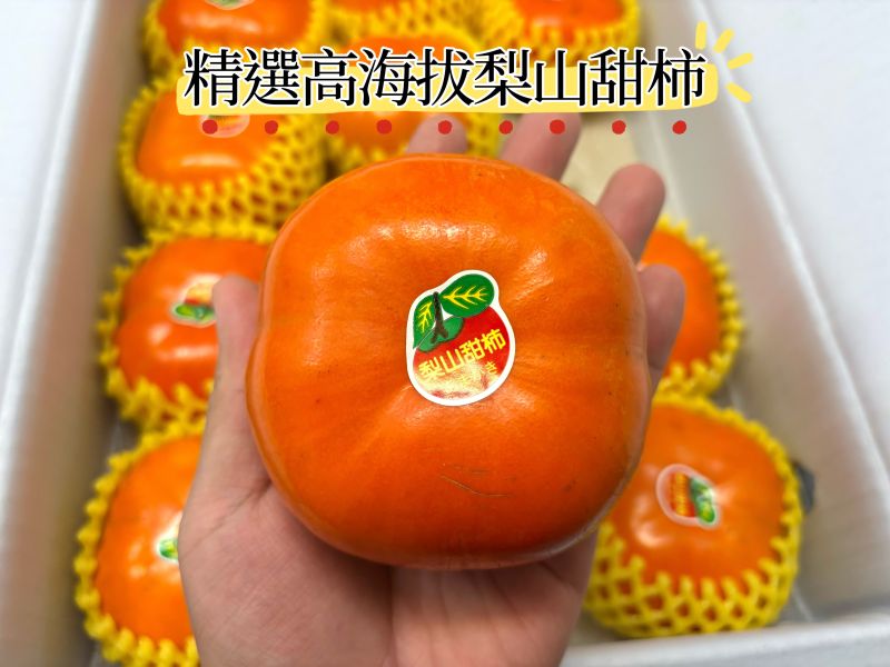 精選梨山產區高海拔富有脆甜柿！脆甜口感 吃硬吃軟都可以 