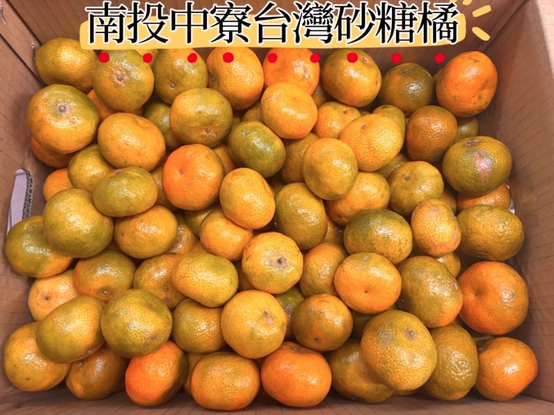 正宗南投中寮台灣砂糖橘 甜度高好吃完全0酸氣！ 