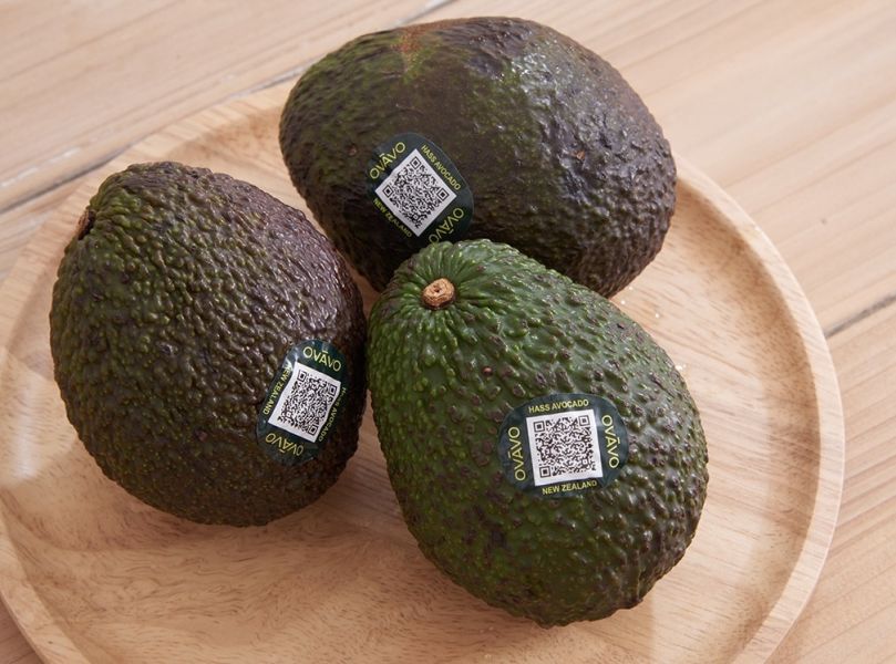 紐西蘭空運哈斯酪梨 奶香口感 綿柔滑順好吃 