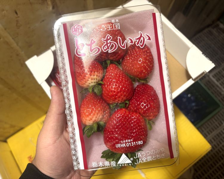 日本空運櫪木縣草莓 超人氣櫪愛果品種 大果粒規格 甜度很高0酸氣 