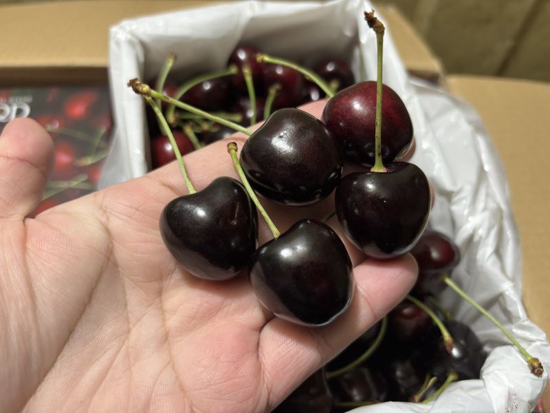 紐西蘭精選空運小農品牌Sarita櫻桃 超級好吃品種Kordia 硬脆甜口感 實測甜度23度以上！ 