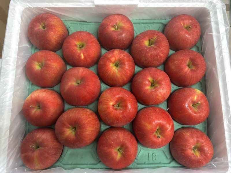 日本紅顏姬蘋果 甜度高0酸氣 外皮微微出油為正常情況！ 