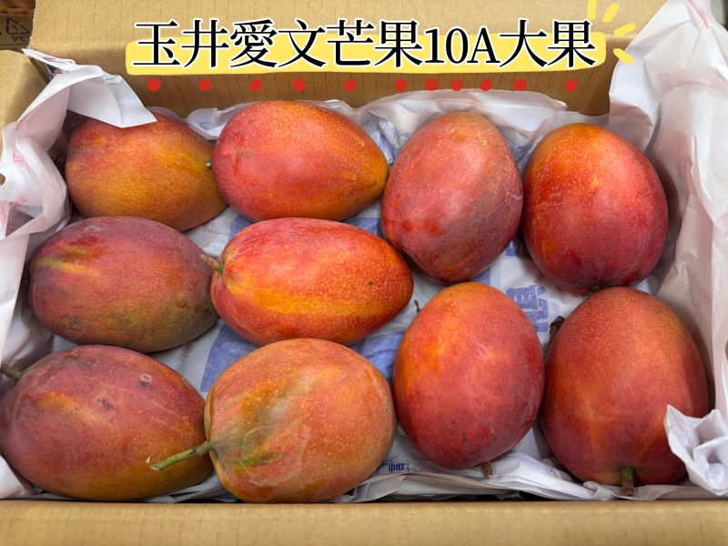 台南玉井精選愛文芒果大果 12A大果 色澤漂亮甜度高！ 