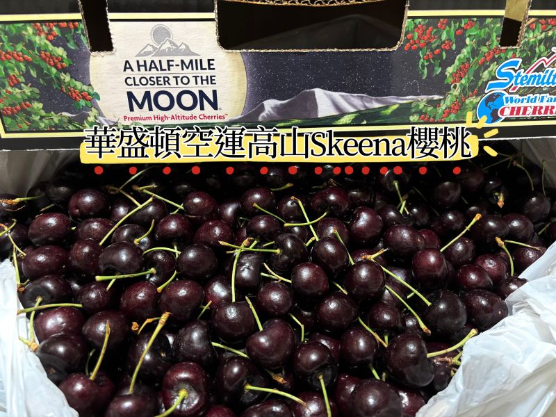 華盛頓精選《空運》高山Skeena櫻桃 口感硬甜度高櫻桃味道濃厚！9.5R規格 