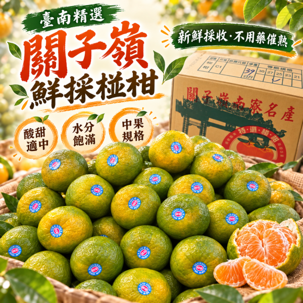 台南關子嶺鮮採椪柑 中果規格 酸甜適中 水分飽滿好吃 
