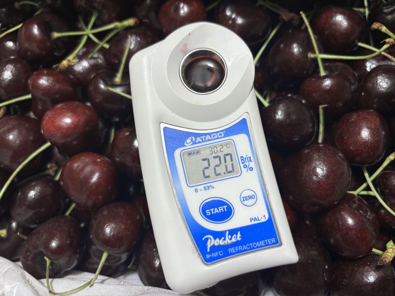 華盛頓空運海鷹SeaHawk櫻桃 經典Lapin品種 精裝箱2.5KG 8.5R特大果 