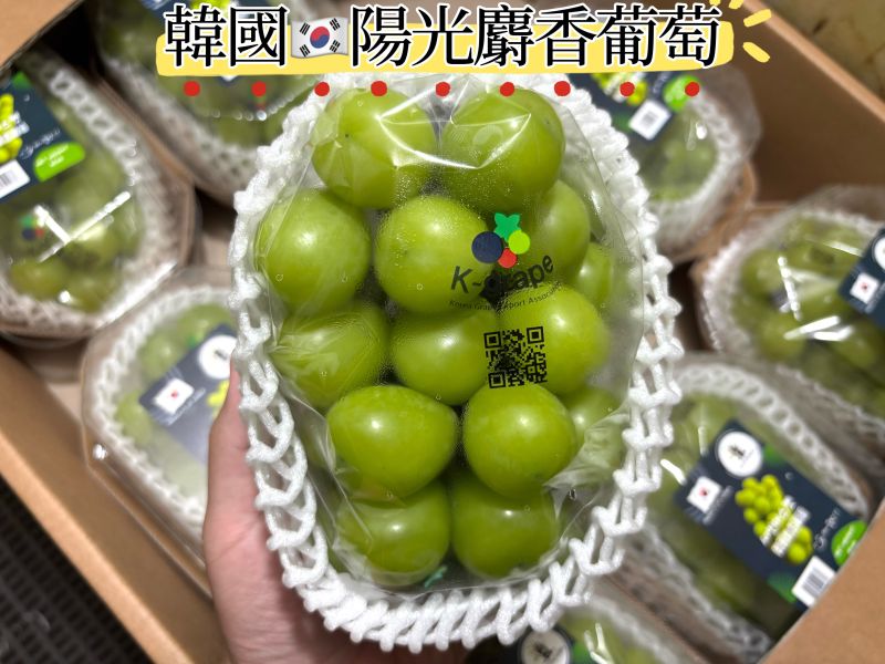 韓國陽光麝香葡萄 精選大果粒！清甜Q嫩口感 