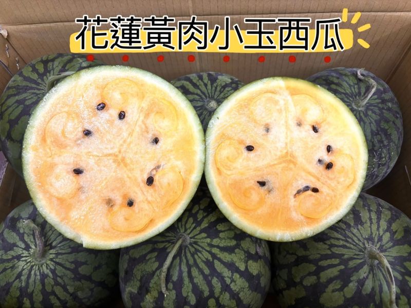 花蓮黃肉小玉西瓜  大果規格 