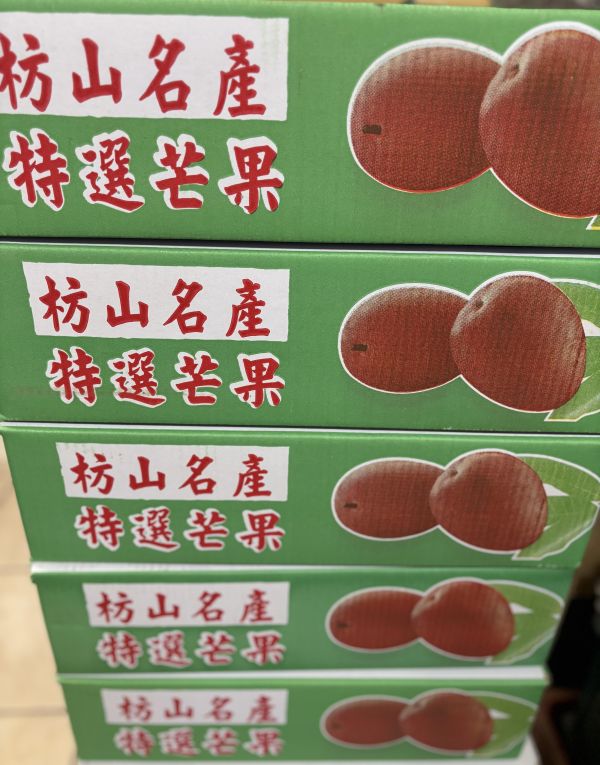 屏東枋山在欉紅愛文芒果 中果/大果規格 外皮稍微出油再食用甜度更高！ 