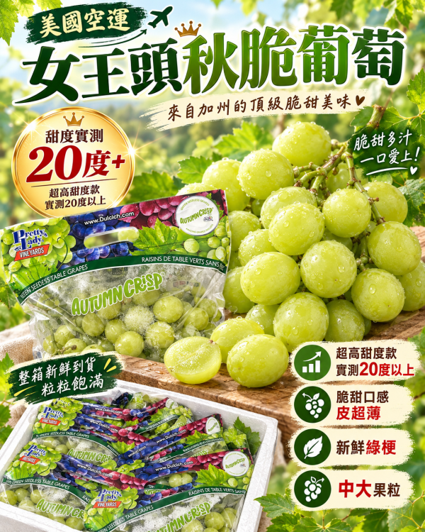 美國空運秋脆品種綠無籽葡萄  新鮮綠梗硬脆甜口感 實測甜度20度以上 兩組品牌隨機出貨 
