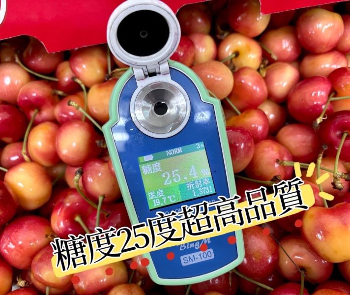 精選智利空運頂級《草莓白櫻桃》SkylarRae 全糖款0酸氣2J規格中大果 甜到要配水超好吃！超美焦糖色澤 