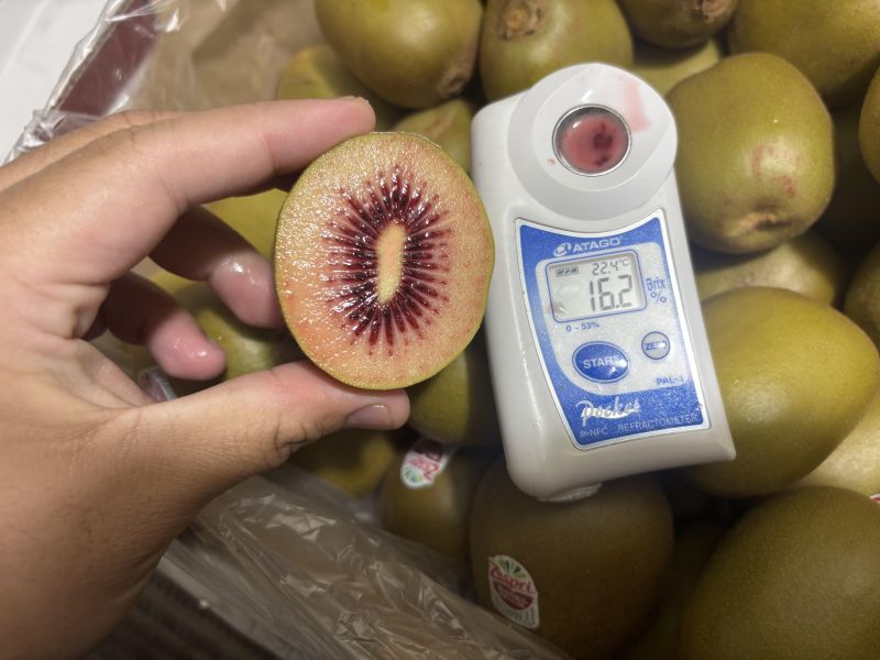 紐西蘭紅寶石奇異果 滿滿天然花青素 微軟吃超甜0酸氣 