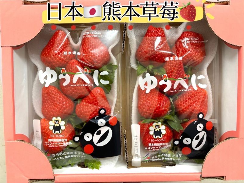 日本熊本草莓 肉質扎實淡淡香氣 隨機顆數出貨 