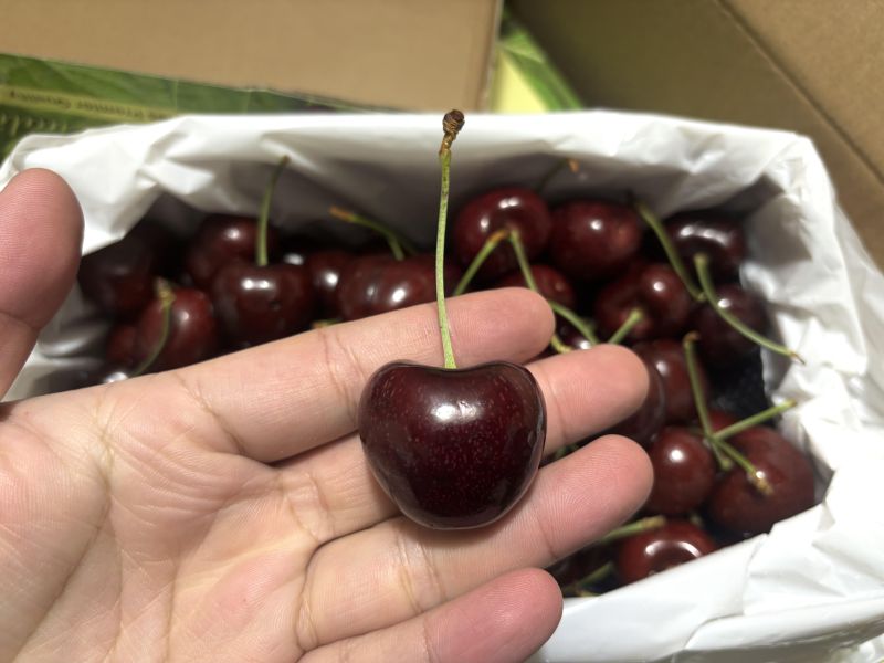 紐西蘭經典品牌空運亞尼士櫻桃 32-34mm特大果 Lapin品種 硬脆甜口感 