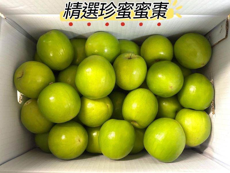 精選高雄阿蓮珍蜜品種蜜棗 細緻口感！ 