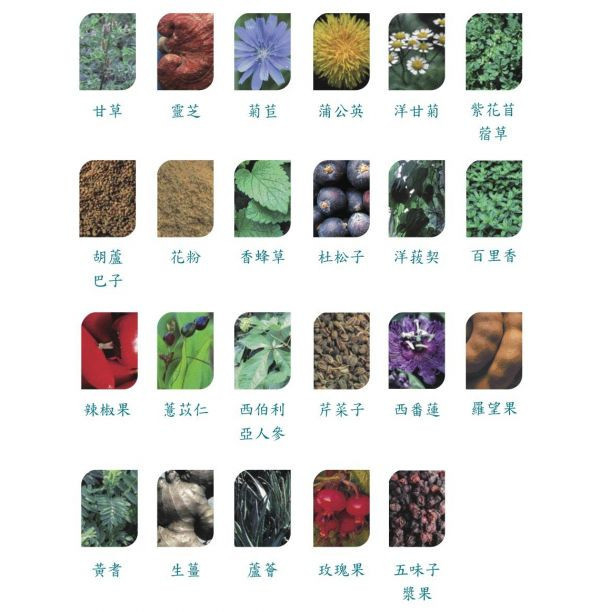歡慶母親節-天茶2箱送1瓶 