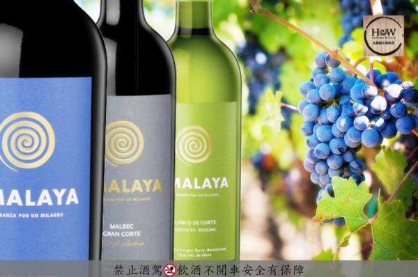 奇蹟馬貝克紅酒 Amalaya Malbec 阿根廷,奇蹟,馬貝克,紅酒,Amalaya,Malbec,