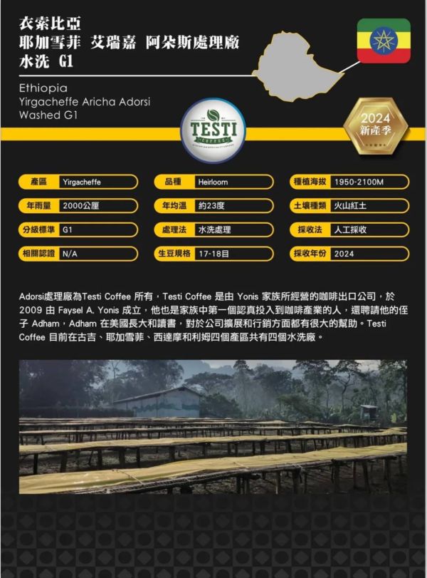 【生咖啡豆】衣索比亞 耶加雪菲 艾瑞嘉 阿朵斯處理廠 水洗 G1 【生咖啡豆】衣索比亞 耶加雪菲 艾瑞嘉 阿朵斯處理廠 水洗 G1