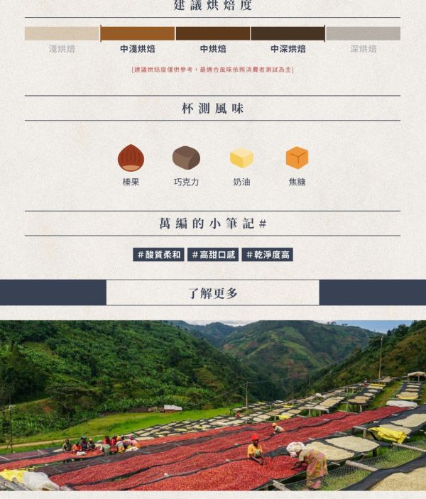 【生咖啡豆】秘魯 約克之星 水洗 SHB 生豆 咖啡豆 【生咖啡豆】秘魯 約克之星 水洗 SHB 生豆 咖啡豆