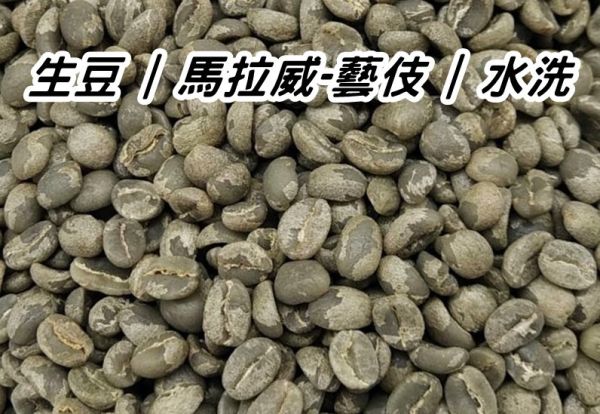 【生咖啡豆】非洲 馬拉威 密蘇庫 藝伎 | 水洗 生豆 非洲 馬拉威密蘇庫 藝伎 | 水洗