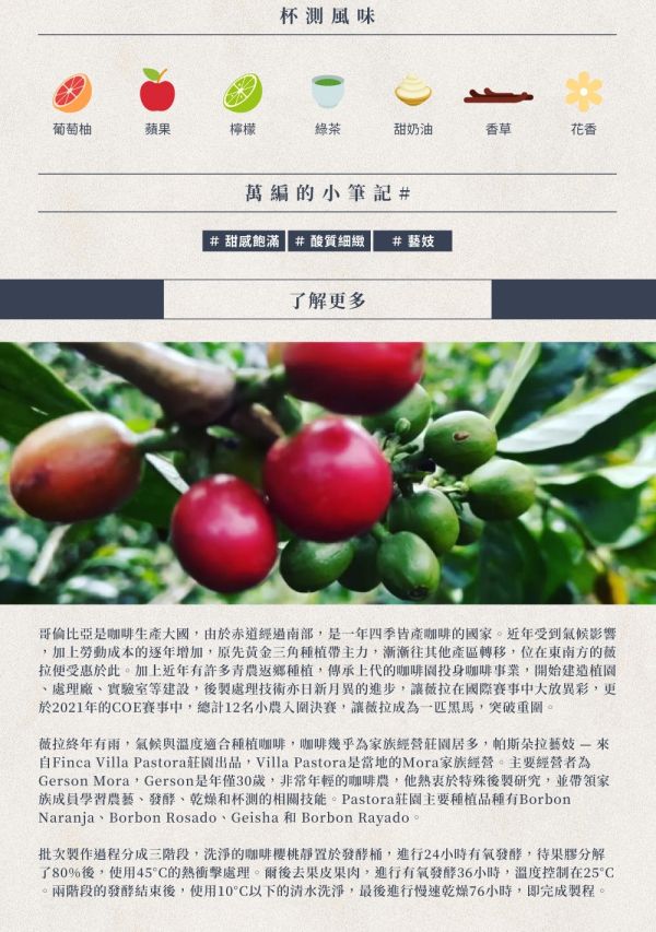 【生咖啡豆】哥倫比亞 薇拉 帕斯朵拉 藝伎 水洗 咖啡豆 生豆 【生咖啡豆】哥倫比亞 薇拉 帕斯朵拉 藝伎 藝妓 水洗 咖啡豆 生豆