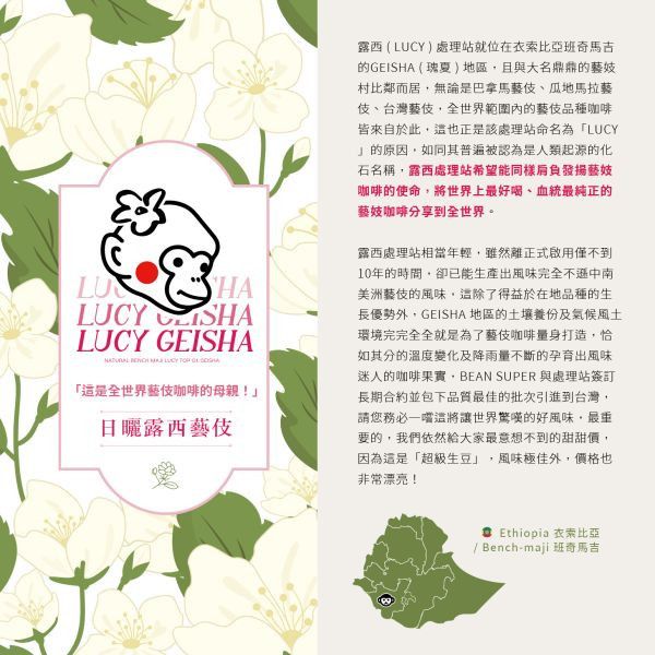 【生咖啡豆】露西LUCY藝伎|衣索比亞|班奇馬吉|露西處理站|日曬|頂級G1藝伎 