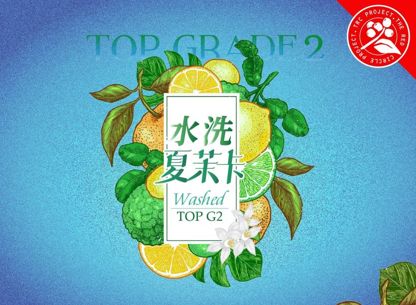 【生咖啡豆】水洗夏茉卡 / 水洗耶加雪菲 / 紅圈計畫 / TOP G2 / 頂級 G2 夏茉卡 | TOP G2 | 紅圈計畫 | 耶加雪菲 | 2023新批次 | 水洗