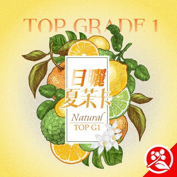 【生咖啡豆】夏茉卡|耶加雪菲|紅圈計畫|日曬|頂級 G1 