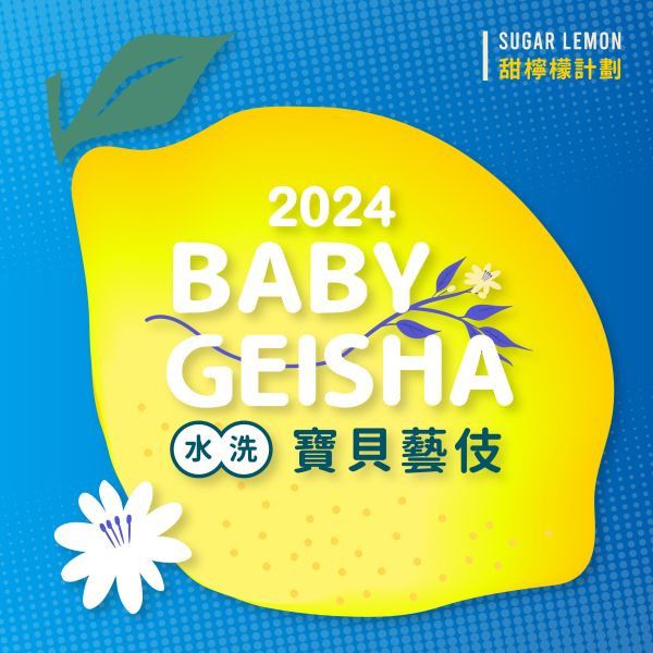 【生咖啡豆】衣索比亞|寶貝藝伎|水洗|吉瑪莉姆|果美村|甜檸檬計畫 衣索匹亞,,寶貝藝伎,水洗,吉瑪莉姆,果美村,甜檸檬計畫