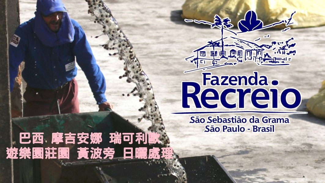 【生咖啡豆】巴西 摩吉安娜 瑞可利歐/遊樂園莊園 黃波旁 日曬處理 咖啡豆 生豆 【生咖啡豆】巴西 摩吉安娜 瑞可利歐/遊樂園莊園 黃波旁 日曬處理 咖啡豆 生豆
