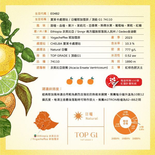 【生咖啡豆】夏茉卡|耶加雪菲|紅圈計畫|日曬|頂級 G1 