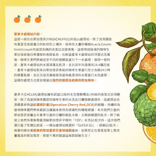 【生咖啡豆】夏茉卡|耶加雪菲|紅圈計畫|日曬|頂級 G1 