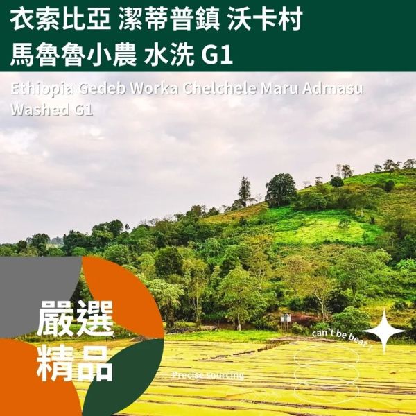 衣索比亞 潔蒂普鎮 沃卡村 馬魯魯小農 水洗 G1 淺烘焙『桀米五日鮮咖啡』 衣索比亞 潔蒂普鎮 沃卡村 馬魯魯小農 水洗 G1 淺烘焙『桀米五日鮮咖啡』,咖啡豆,烘焙咖啡,精品咖啡,莊園咖啡豆,單品咖啡豆,精緻烘焙,自家烘焙,