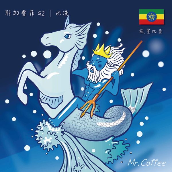 【生咖啡豆】衣索比亞 耶加雪菲 艾瑞嘉 特優級 G2 | 水洗 生豆 |衣索比亞 耶加雪菲 艾瑞嘉 特優級 G2 | 水洗