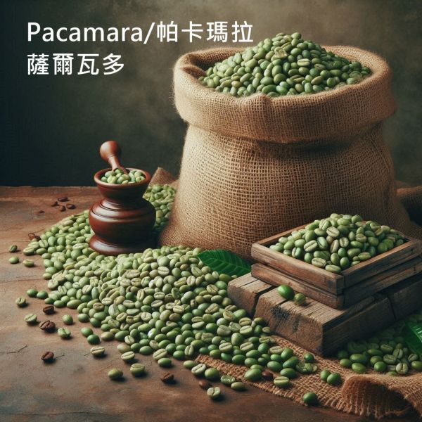 【生咖啡豆】薩爾瓦多 帕卡瑪拉 塔皮莊園 日曬 【生咖啡豆】薩爾瓦多 塔皮莊園  Pacamara/帕卡瑪拉 日曬